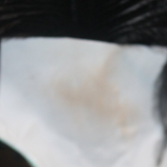 New La Maschera del Galeone Hand Made in Italy Feathered Mask w Certificate - Picture 9 of 10